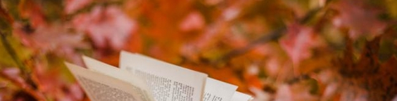 Aucun message non lu